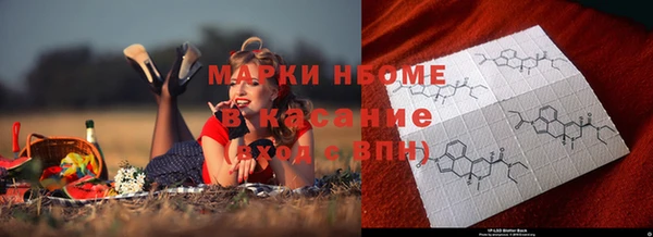 ГАЛЛЮЦИНОГЕННЫЕ ГРИБЫ Абаза
