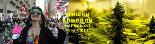 ГАЛЛЮЦИНОГЕННЫЕ ГРИБЫ Абаза